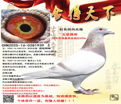 �����죬�ھ����ֵ�