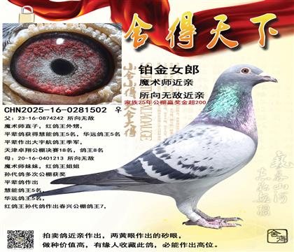 ħ��ʦ���ף������޵н���