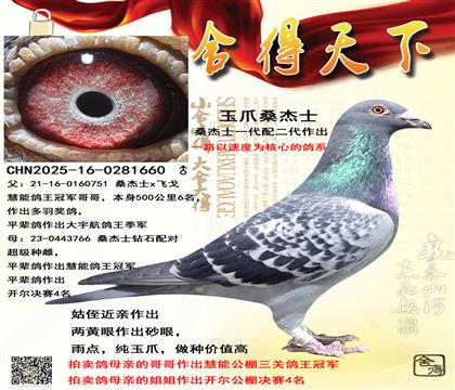 ɣ��ʿһ���������ȫ��צ