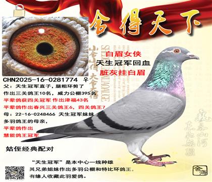 �����ھ���Ѫ