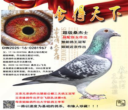 ���ܸ����ھ���������