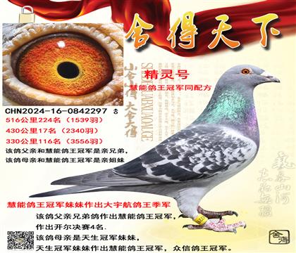 ���ܸ����ھ�ͬ�䷽���ɼ���