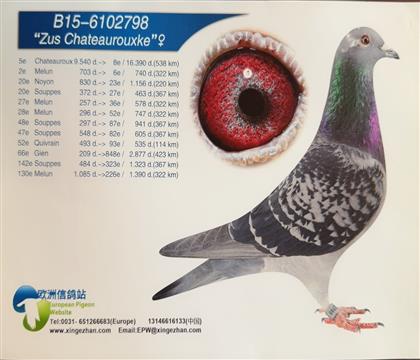 ԭ�h(hu��n)��(j��)��(y��u)��������·�ƽ���798