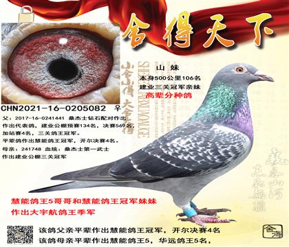 ���عھ����ã���������