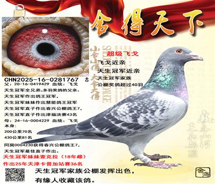 �ɸ���������������ھ�����