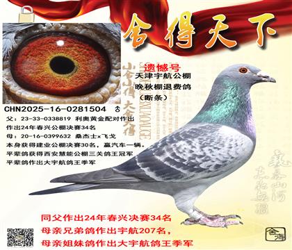 ���˾���34��ƽ��