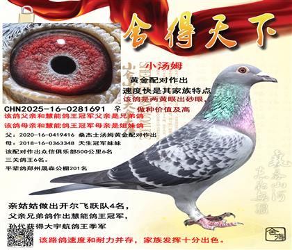 ɣ��ʿС��ķ���ƽ��������