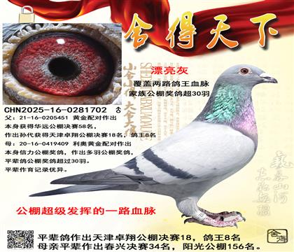 ���׿�����18����