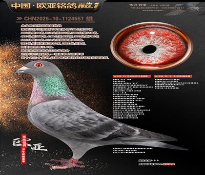 ղɭ�������Ĺڸ�������124X919ֱŮ080