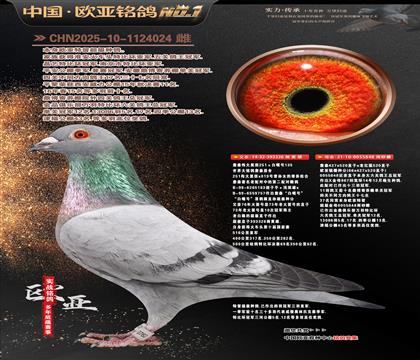 ղɭ251ֱ��326X766ֱŮ848