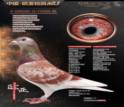 �������Ĺظ���ʮ��293X̩ɽ988