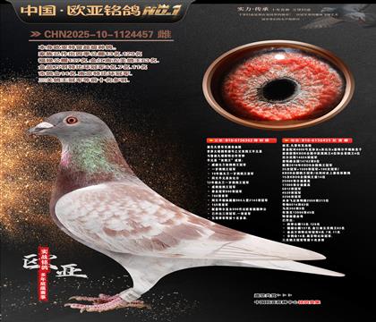 �Ͽ˷��ǲ���ԭ���漣��362X40000��435