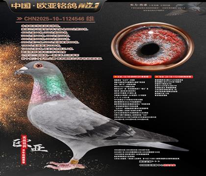 ղɭ�������Ĺڸ�������124X919ֱŮ080