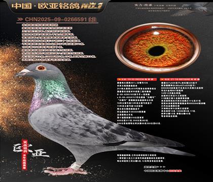 ղɭ251ֱ��326X766ֱŮ848