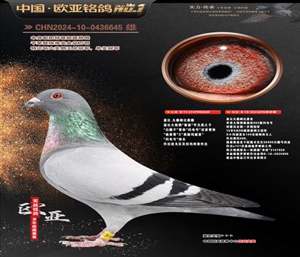 �Ǳ�ԭ��³��998X�������896