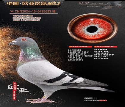 �Ǳ�ԭ��998X461