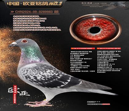 ���°���Ƹ���ŷԪ801X������ֱ��Ů061