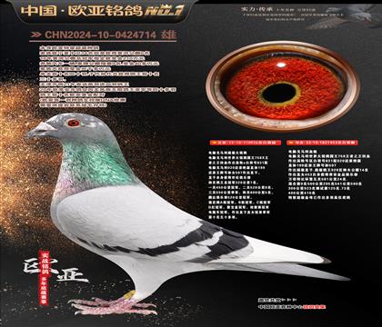 ���Գ����ֹ�926X��ĸ453