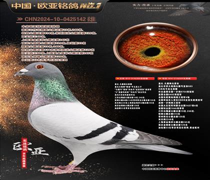 �Ǳ�ԭ��³��305X�ʼһ�359