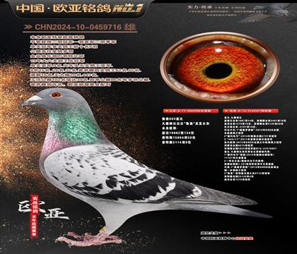 �Ǳ�ԭ��³��ֱ��988X³��ֱŮ047����