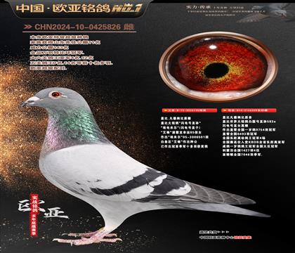 �Ǳ�ԭ�������ֱ��190X�ʼһ�ֱŮ359