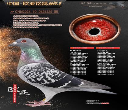 ������ֱ��855X������ֱŮ499