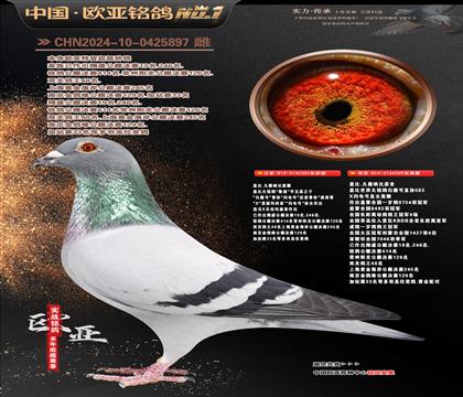 �Ǳ�ԭ��³��305X�ʼһ�359