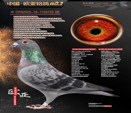 ղɭ919ֱ��603Xΰ��ڰ�281