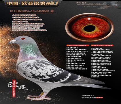 �Ǳ�ԭ������ŷ088X��ӥ��2196