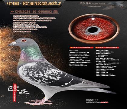 ����ԭ��03����004XŷԪ���869