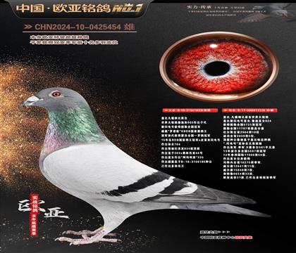 �Ǳ�ԭ��³�ϻ�185X�������123