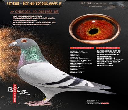 �Ǳ�ԭ�ả����136X�ʼһ�ֱŮ358