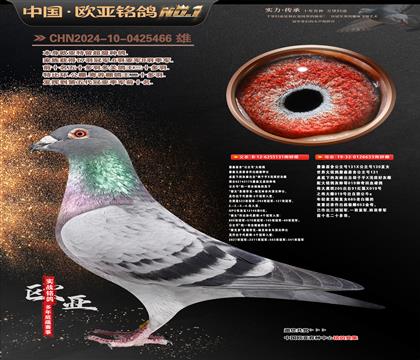 ղɭԭ�ᡰ�����š�131XֱŮ653