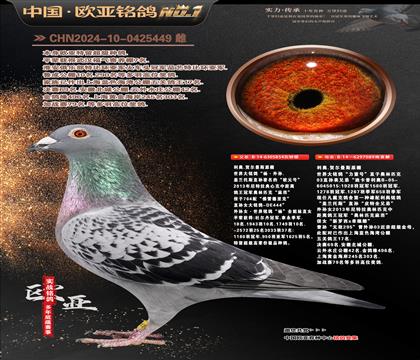 ����ԭ�����ƥ�ˡ��鑪��854X�Ͽ�������089