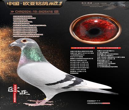 ����614X061ɣ��ʿֱ��337X����926ֱŮ239