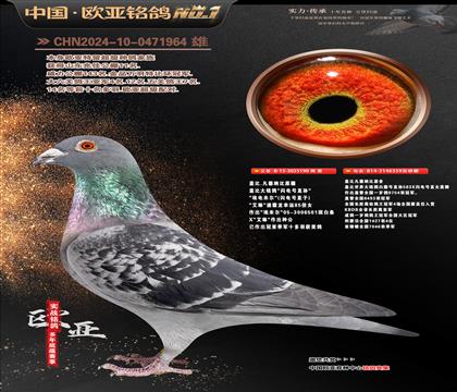 �Ǳ�ԭ�������ֱ��190X�ʼһ�ֱŮ359