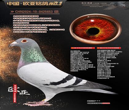 �Ǳ�ԭ��³��ֱ��030X��ޱ���ꡱ�¸��׵�191