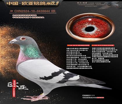 ɣ��ʿ�ǹ���486X����261��ĸ