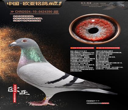 ɣ��ʿԭ��018X061ֱ��059X����Xɣ��ʿ�ǹ���063