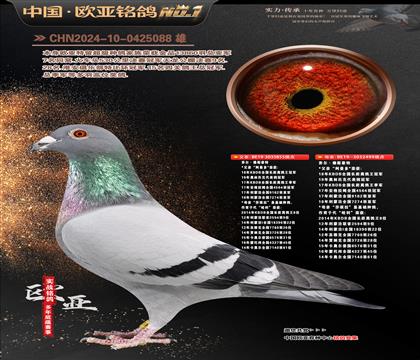 ������ֱ��855X������ֱŮ499