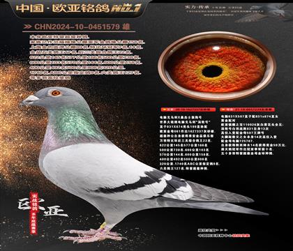 ����614X061ɣ��ʿֱ��337X����926ֱŮ239