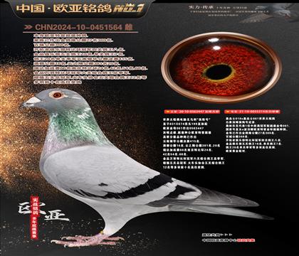 ����614X061ֱ��447X018X061ֱŮ314����