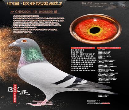 �Ǳ�.�����ɱ�ԭ��998X199