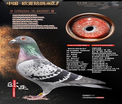 ���°���Ƹ���ŷԪ801X������ֱ��Ů061