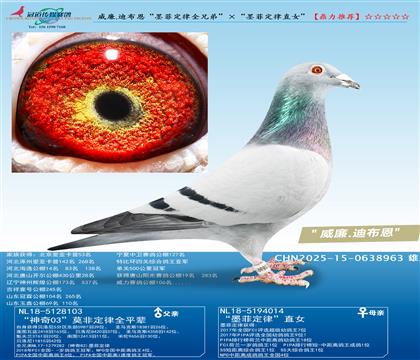 ����.�ϲ�����ī�ƶ���ȫ�ֵܡ�����ī�ƶ���ֱŮ��