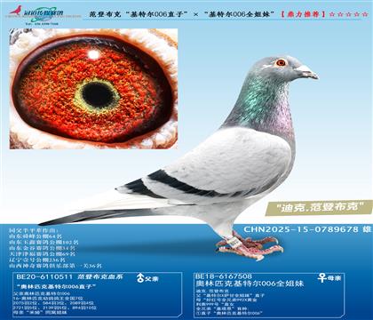 ���ǲ��ˡ����ض�006ֱ�ӡ��������ض�006ȫ���á�