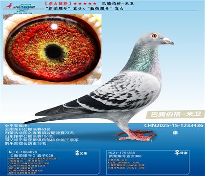 ���ڲ���-���� ������ҫ�š�ֱ��x������ҫ�š�ֱŮ