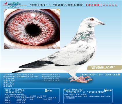 ���û���ֱ�ӡ������û�ֱ��/�û�ȫ���á�