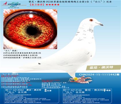 FCI������Ѷ̾�������ȫ��1λ�������ˡ�������