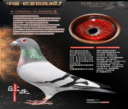 ɣ��ʿ090X����Xɣ��ʿ061ֱŮ239